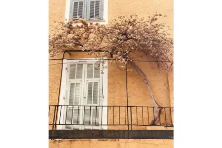 Maison 2 pièces avec accès direct plage à Cavalaire : photo 37