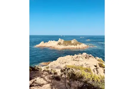 Maison 2 pièces avec accès direct plage à Cavalaire : photo 38