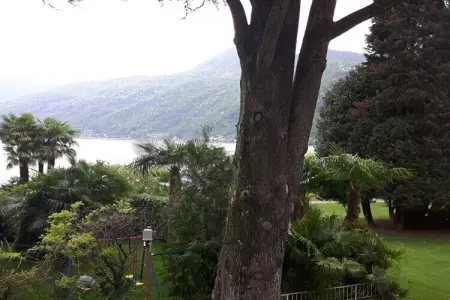 Maison 2 chambres avec accès direct au lac de Lugano : photo 16