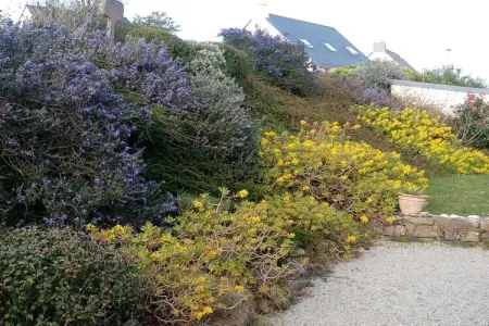 218332, Ti-ar-gwez (Maison des Arbres) - Photo 2