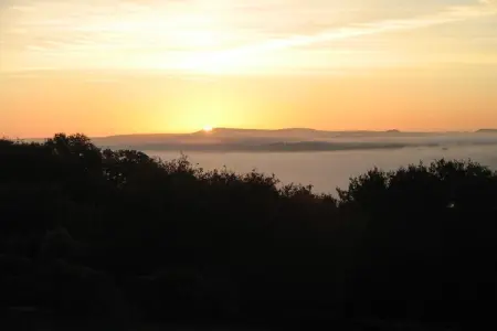 218332, Ti-ar-gwez (Maison des Arbres) - Photo 5