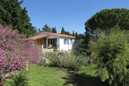 Maison Le Mûrier à Beaucaire, 6 personnes, oliveraie : photo 3