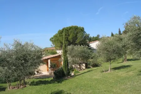 Maison Le Mûrier à Beaucaire, 6 personnes, oliveraie : photo 5