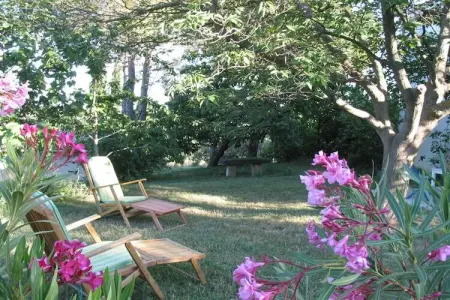 Maison Le Mûrier à Beaucaire, 6 personnes, oliveraie : photo 6