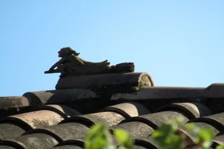Maison Le Mûrier à Beaucaire, 6 personnes, oliveraie : photo 7