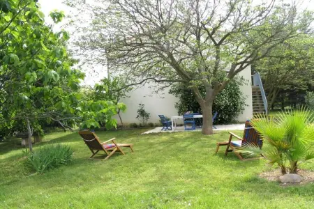 Maison Le Mûrier à Beaucaire, 6 personnes, oliveraie : photo 8