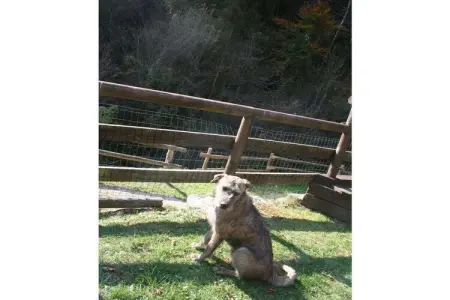 535623, Maison de vacances à Bezzecca avec piscine - Photo 3