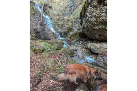 535623, Maison de vacances à Bezzecca avec piscine - Photo 27