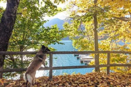 535623, Maison de vacances à Bezzecca avec piscine - Photo 35