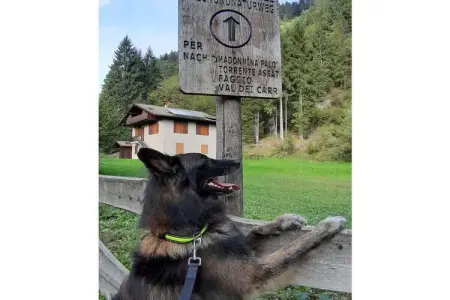 535623, Maison de vacances à Bezzecca avec piscine - Photo 38