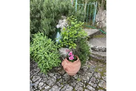 Villa 6 pers., 3 chambres près de Sienne avec deux cuisines : photo 10