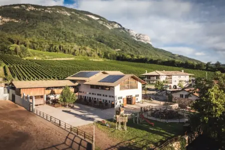 Maison Climat avec vue Dolomites à Eppan : photo 9