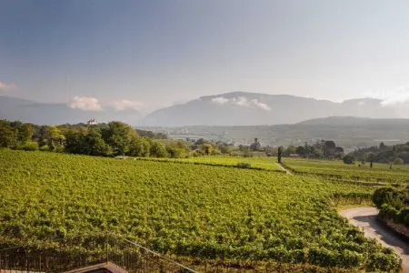 Maison Climat avec vue Dolomites à Eppan : photo 30