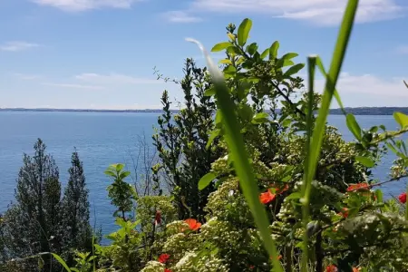 235929, Appartement avec 1 chambre à coucher au bord du lac de Garde - Photo 32