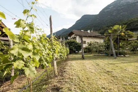 Maison indépendante 1 chambre à Caldaro sulla strada del vino : photo 7