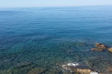 315098, Villa à Cipressa avec piscine - Photo 8