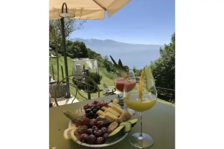 Maison avec spa et accès bien-être à Tignale : photo 5