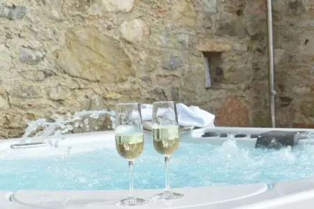 Maison avec spa et accès bien-être à Tignale : photo 12