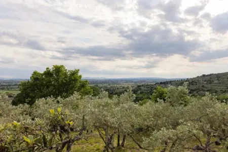 Maison avec piscine vue collines à Cortona : photo 26