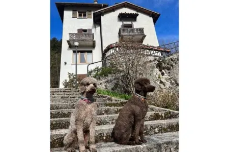 Location maison à Pieve, Villa Emma à Pieve sur le lac de Ledro