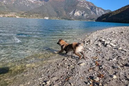 535624, Villa Emma à Pieve sur le lac de Ledro - Photo 26