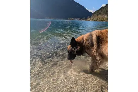 535624, Villa Emma à Pieve sur le lac de Ledro - Photo 33
