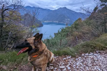 535624, Villa Emma à Pieve sur le lac de Ledro - Photo 37