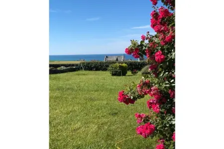 186684, Appartement de vacances avec 1 chambre - Photo 2