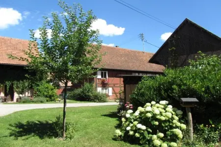 Maison alsacienne 6 personnes, 4 chambres à Jebsheim : photo 9