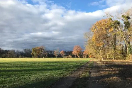 Maison alsacienne 6 personnes, 4 chambres à Jebsheim : photo 11