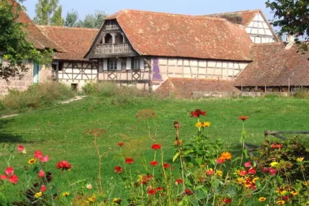 Maison alsacienne 6 personnes, 4 chambres à Jebsheim : photo 34