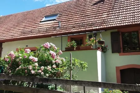 Maison vosgienne 7 pers. à Breitenbach avec jardin clos : photo 1