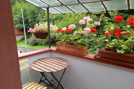 Maison vosgienne 7 pers. à Breitenbach avec jardin clos : photo 15