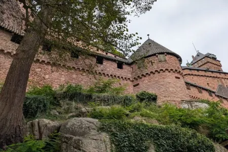 Maison vosgienne 7 pers. à Breitenbach avec jardin clos : photo 18