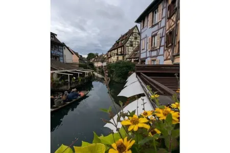 Maison vosgienne 7 pers. à Breitenbach avec jardin clos : photo 20