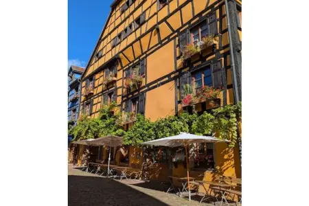 Maison vosgienne 7 pers. à Breitenbach avec jardin clos : photo 23