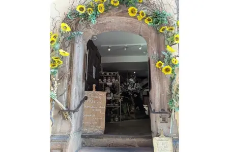 Maison vosgienne 7 pers. à Breitenbach avec jardin clos : photo 24
