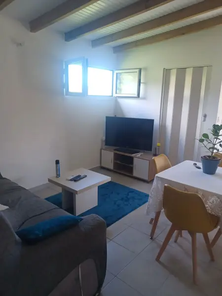 Studio climatisé avec jardin clôturé à Sainte-Rose, Guadeloupe : photo 10