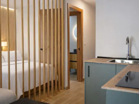 Appartement 2 pièces avec terrasse à Madrid : photo 13