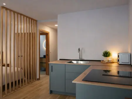 Appartement 2 pièces avec terrasse à Madrid : photo 20
