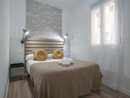 Appartement La Latina I, 3 pièces centre Madrid : photo 14
