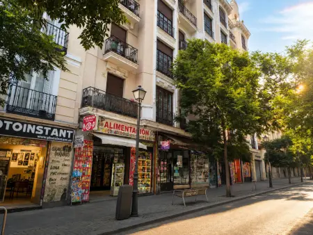 Appartement La Latina I, 3 pièces centre Madrid : photo 20