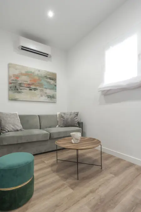 Appartement La Latina I, 3 pièces centre Madrid : photo 35