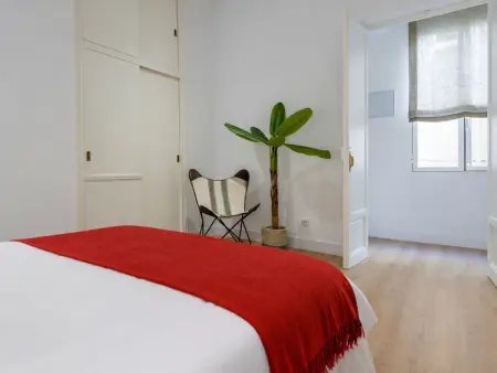 Puerta del Sol VI - Appartement 3 pièces pour 6 à Madrid : photo 26