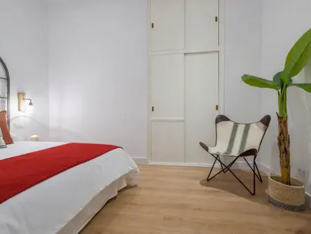 Puerta del Sol VI - Appartement 3 pièces pour 6 à Madrid : photo 27