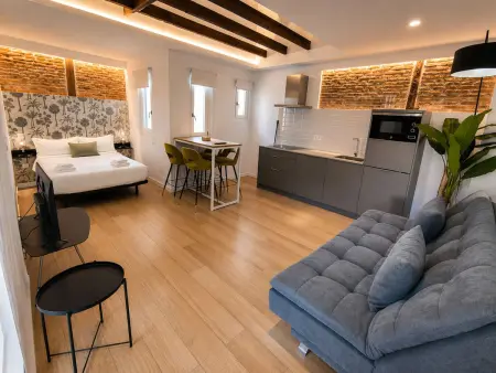 Studio 31 m² Centre de Madrid pour 4 personnes : photo 4