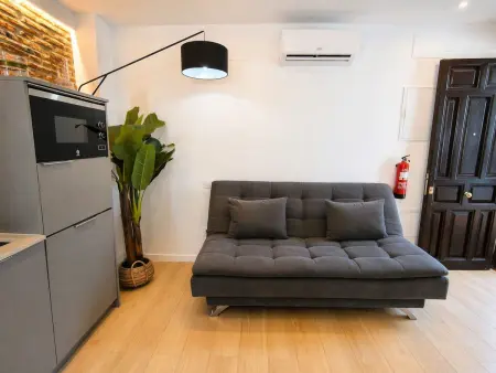 Studio 31 m² Centre de Madrid pour 4 personnes : photo 6