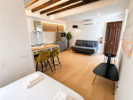 Studio 31 m² Centre de Madrid pour 4 personnes : photo 13