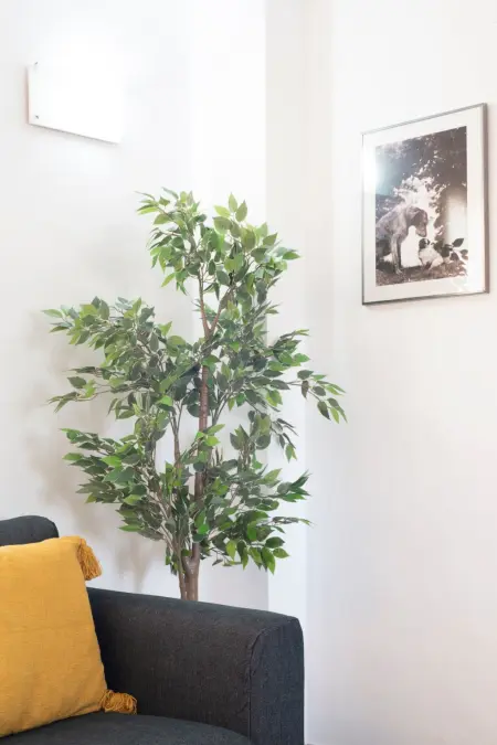 Appartement « Las Setas » 8 pers. à Séville - Photo 3