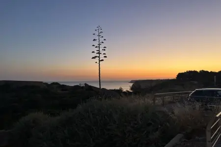 Maison 4 pers. vue océan Carvoeiro, piscine chauffée : photo 28